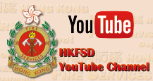 FSD YouTube