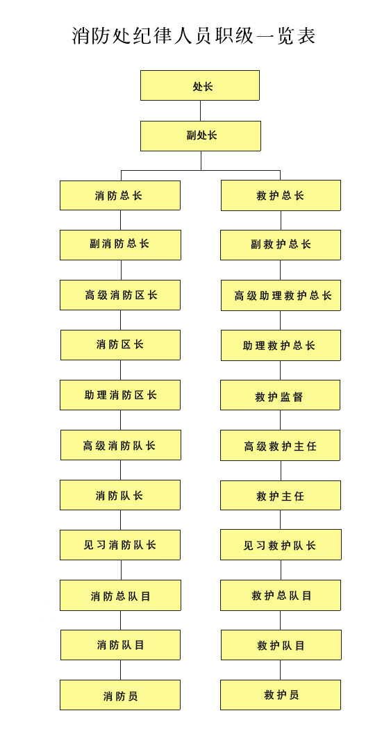 消防处纪律人员职级一览表