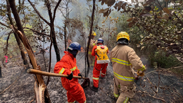 新聞公報記錄 1 圖片