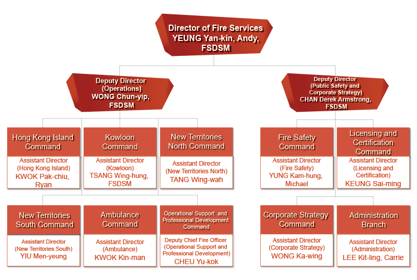 Fire Services Department Organization